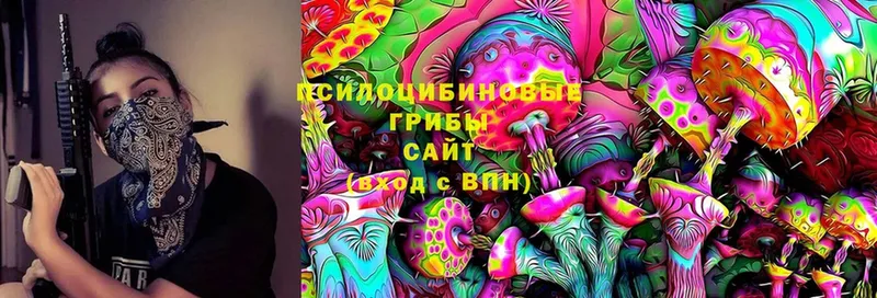 Псилоцибиновые грибы Magic Shrooms  Ржев 